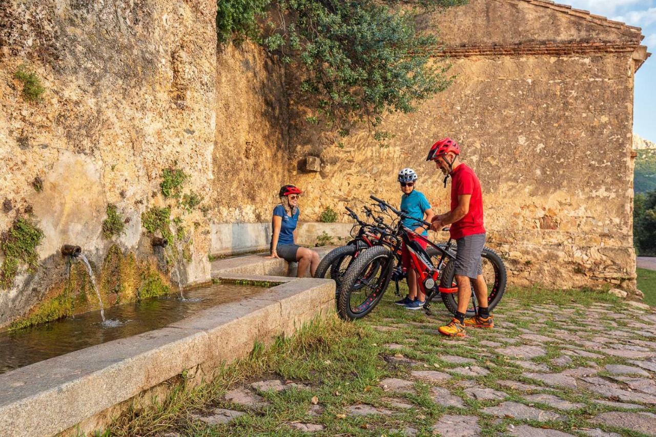 Bedbike באוני מראה חיצוני תמונה