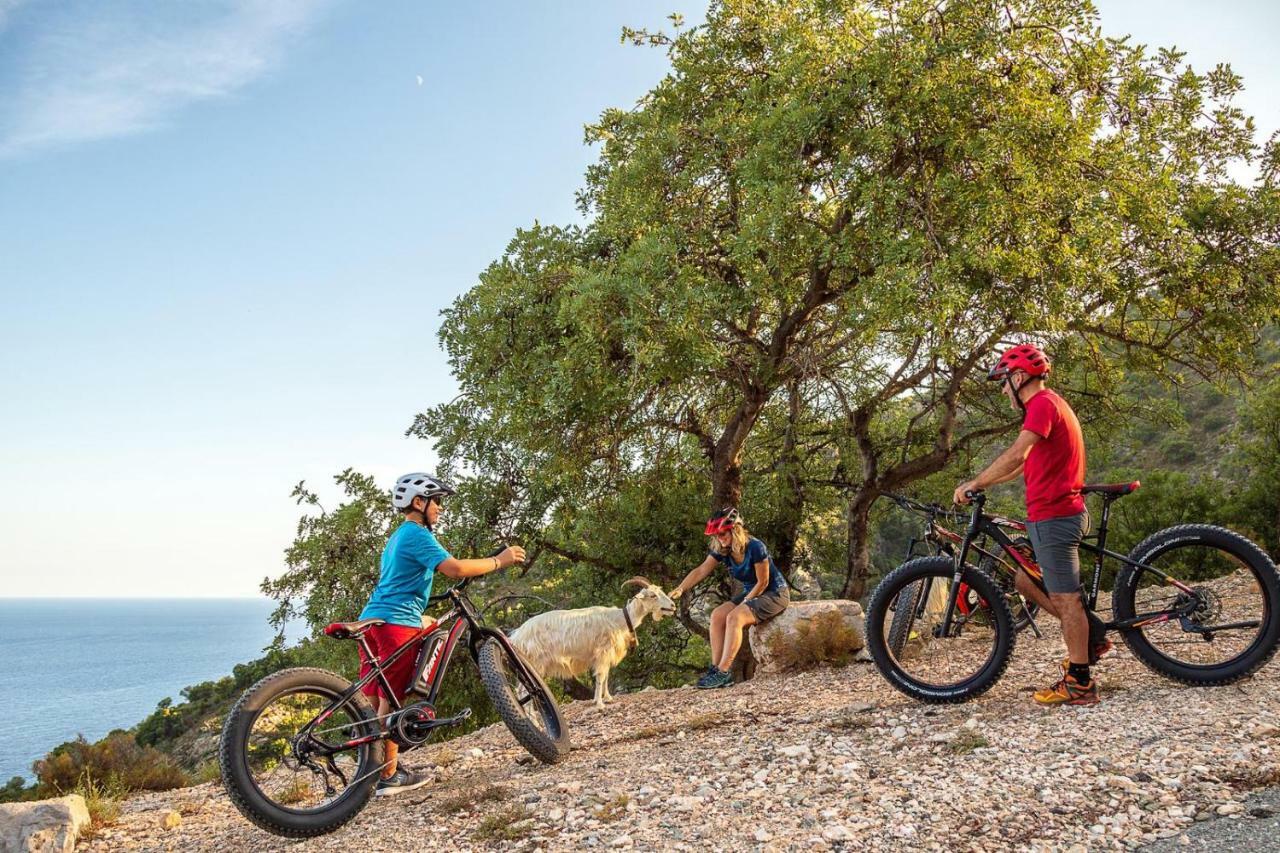 Bedbike באוני מראה חיצוני תמונה